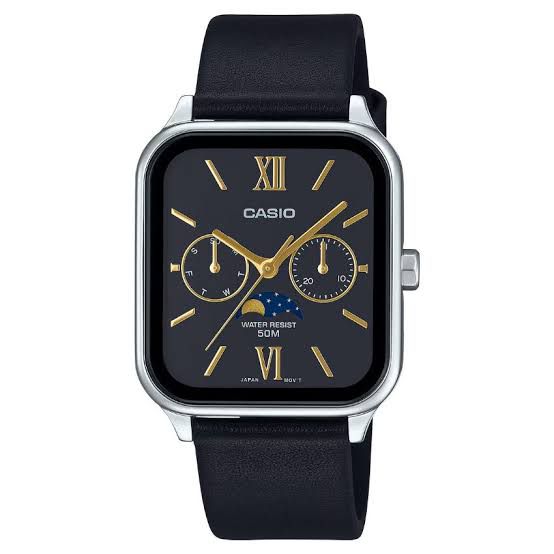  Montres Casio Sont